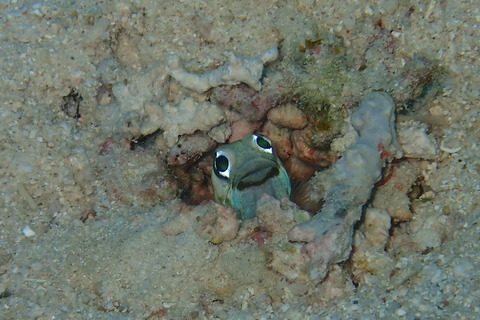 PB121501