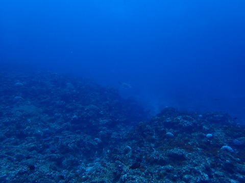 PC268453