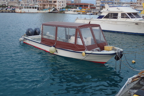 P1313103