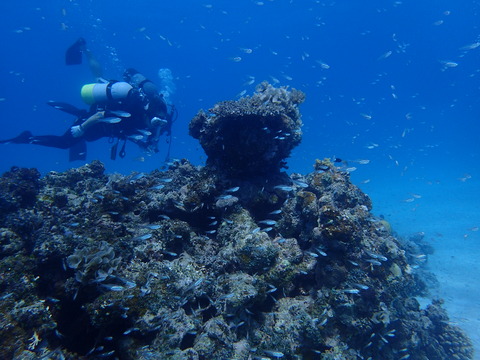P9300572