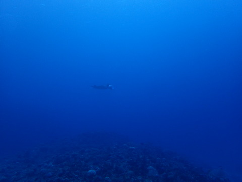 PC268454