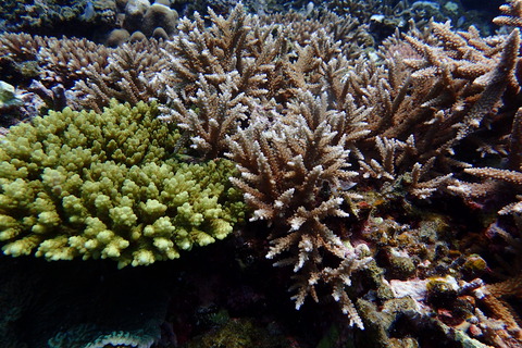 P6080490