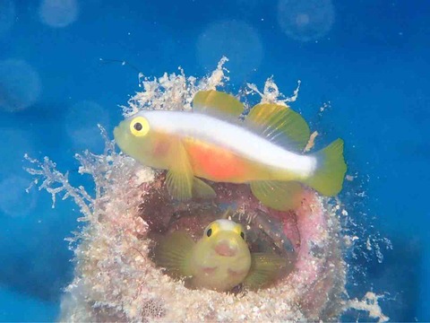 IMG_2342