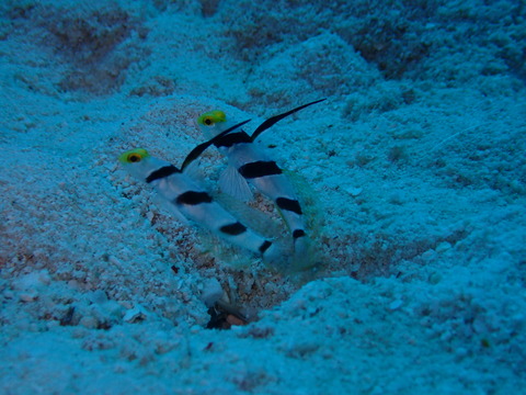 P9190356