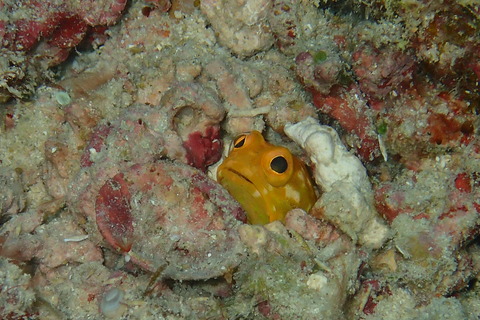 PB121505