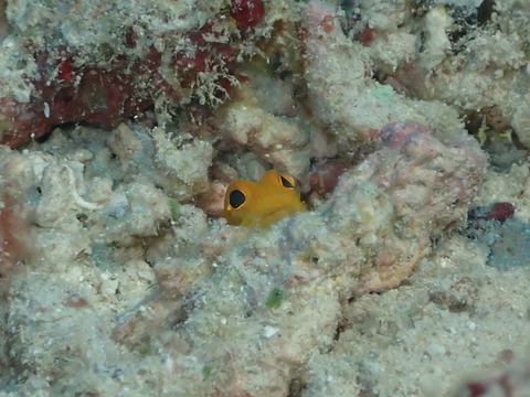 P9280226