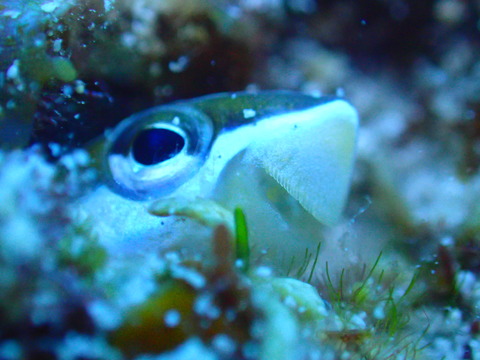 P9300587