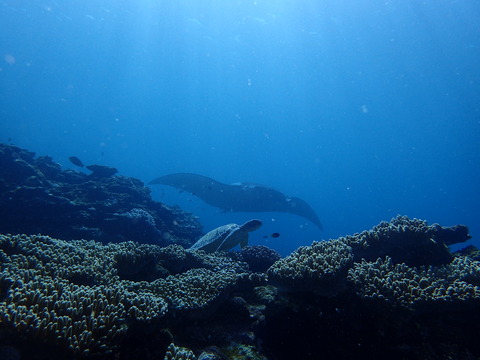 P9210435