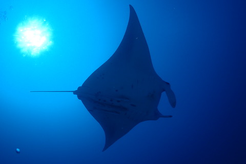 P8302261
