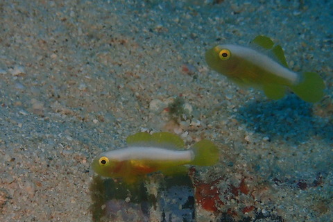 P5171489