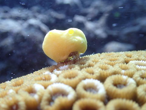 P9270029