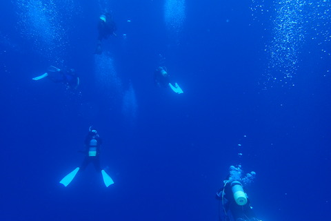 P2101099