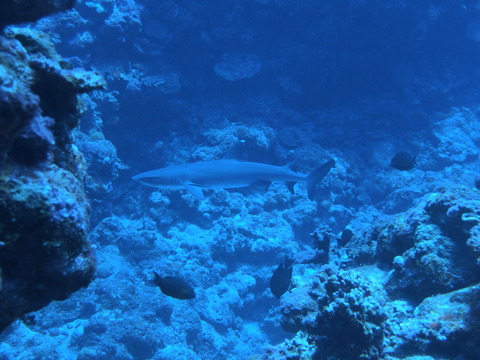 P9260298