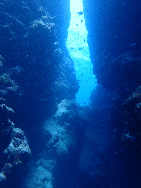 P9300557
