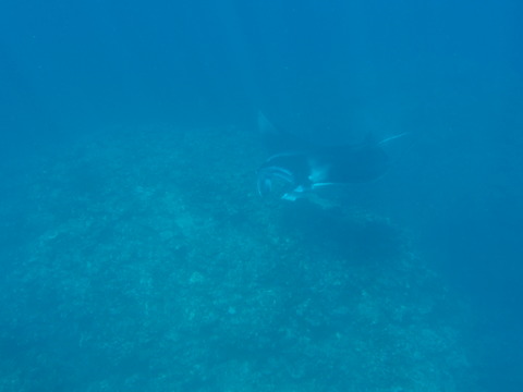 P9223384