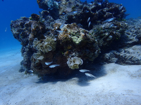 P9300573