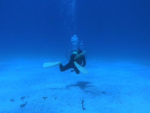P9260232