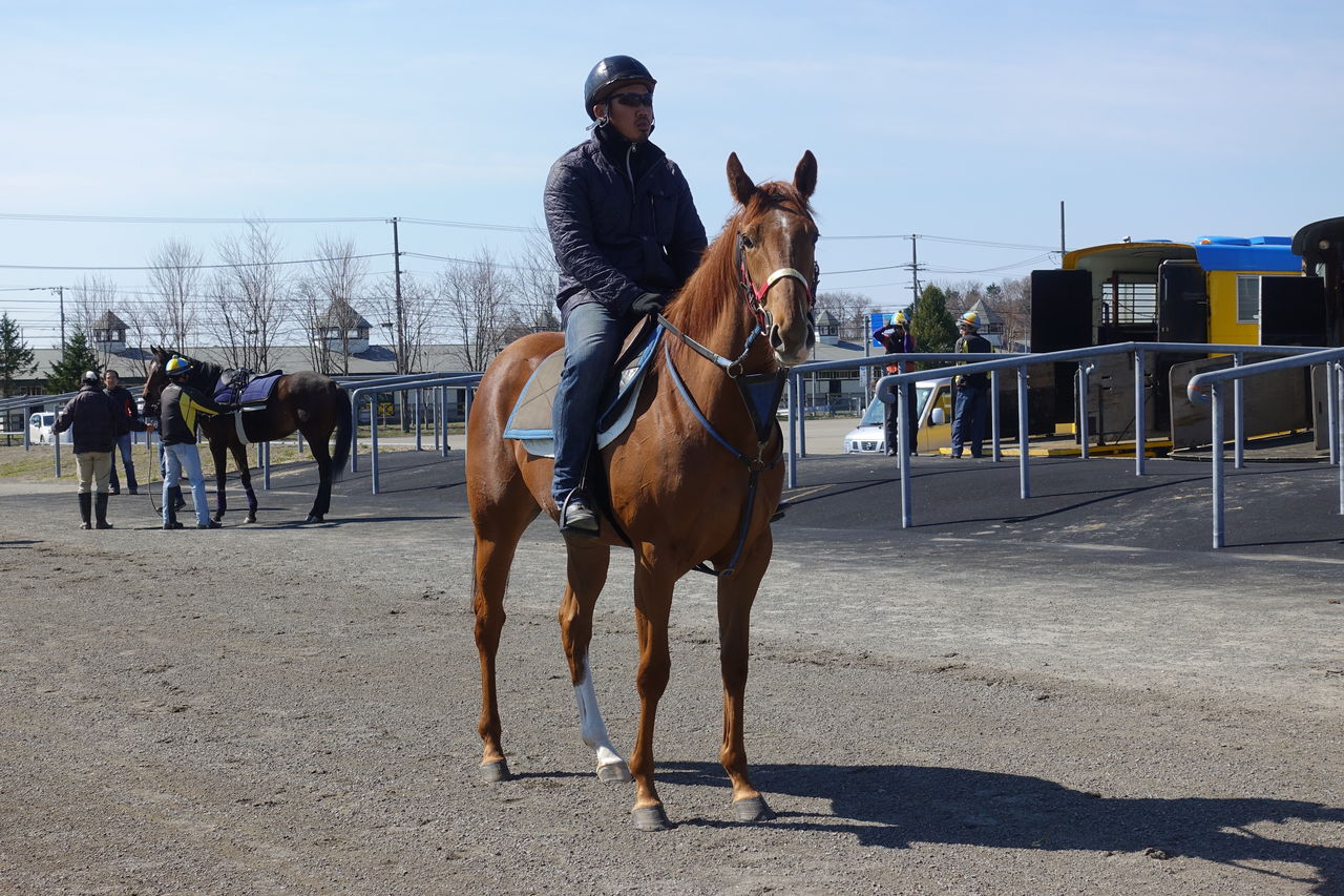ＢＴＣで坂路調教を見学！ : 2015年産サラブレッドを共同所有するブログ