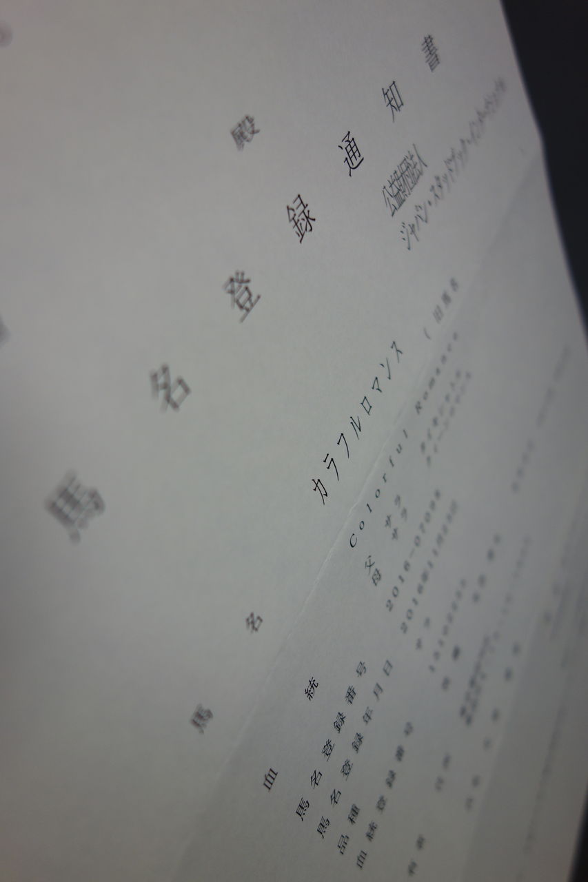 馬名登録通知書 2015年産サラブレッドを共同所有するブログ