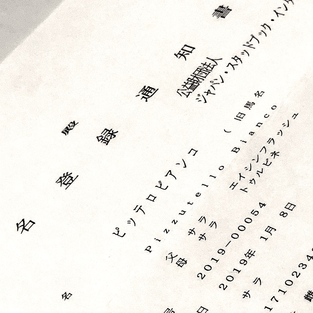 2017年産白馬のオーナーブログ 馬名決定