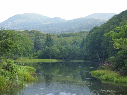 月山志津温泉