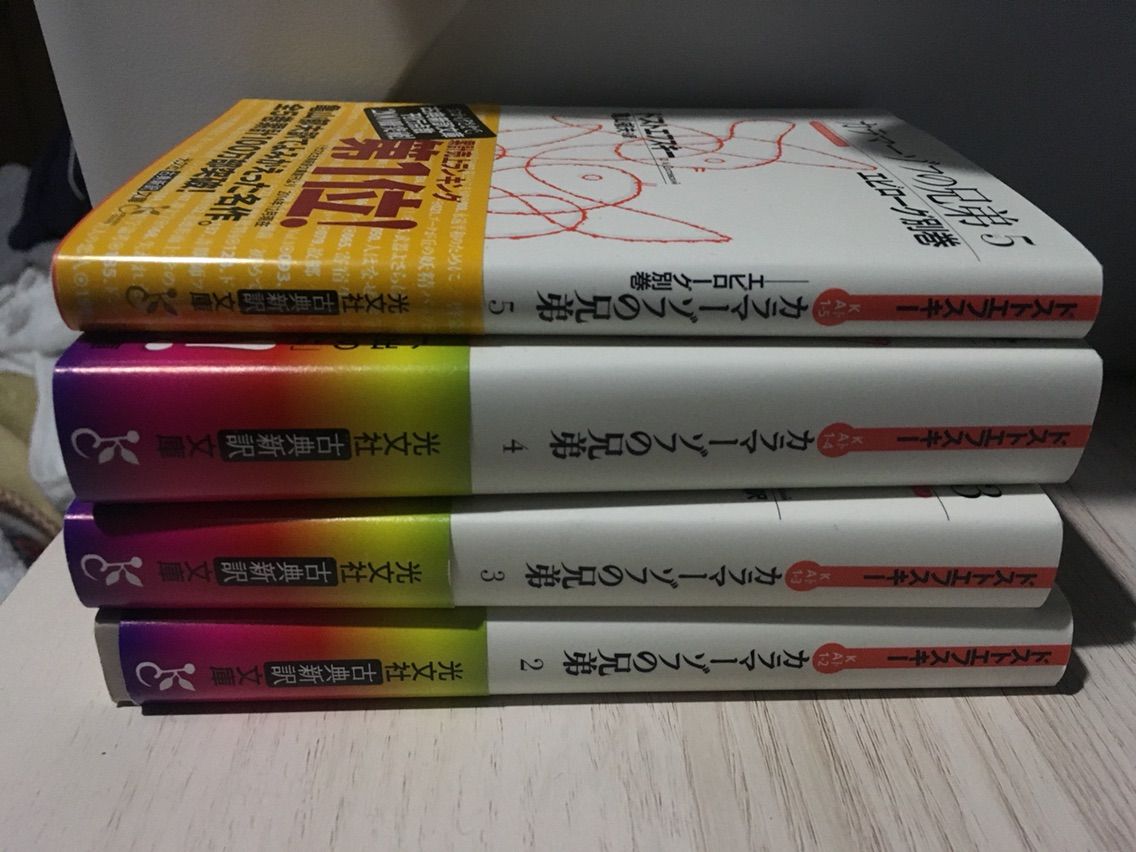 カラマーゾフの兄弟はマンガで とりあえず やってみる Small Step Sky Park