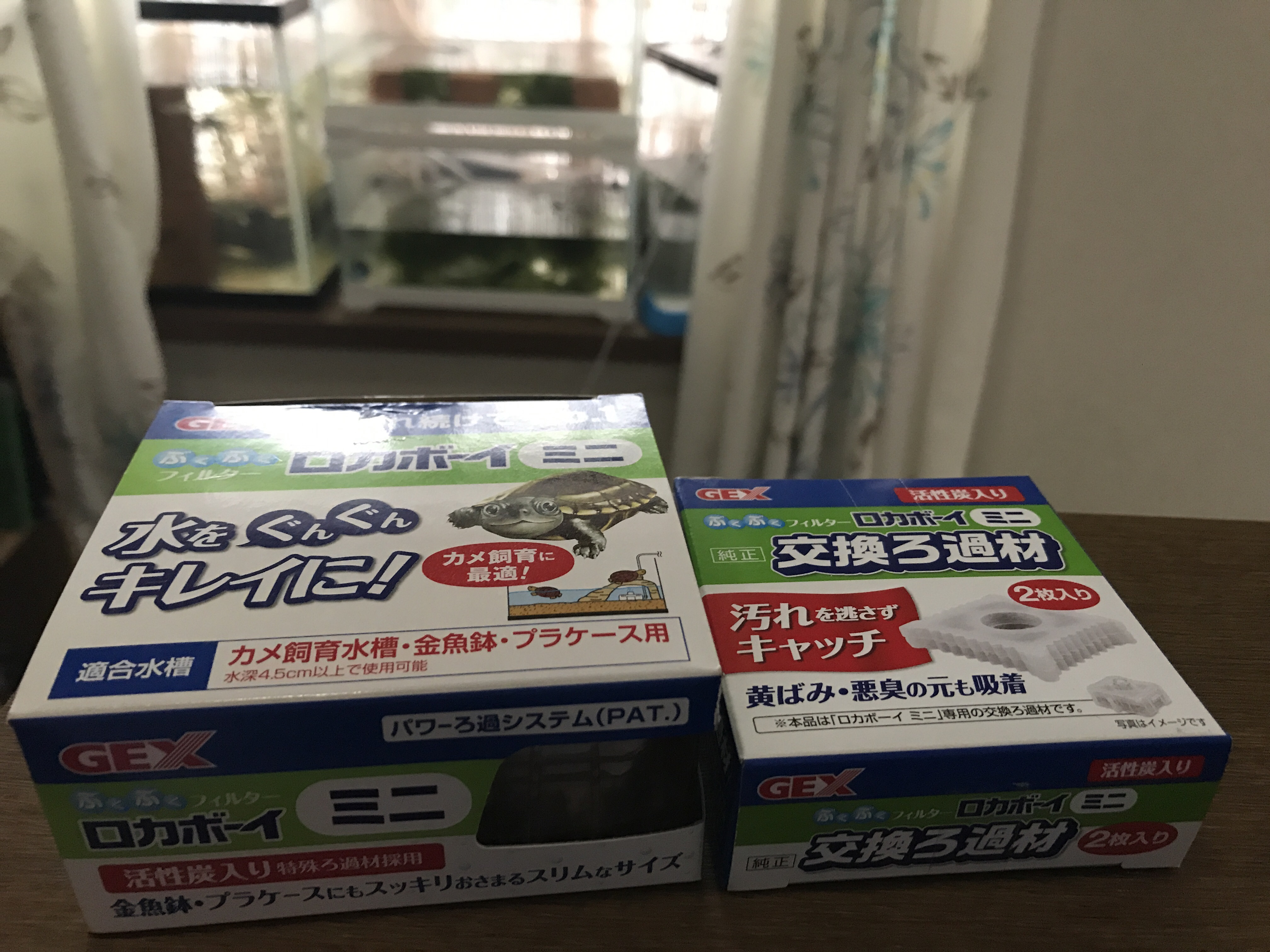 小さな水槽で毎日掃除すると フィルターは要らないかな とりあえず やってみる Small Step Sky Park 小さな水槽で毎日掃除すると フィルターは要らないかな とりあえず やってみる Small Step Sky Park