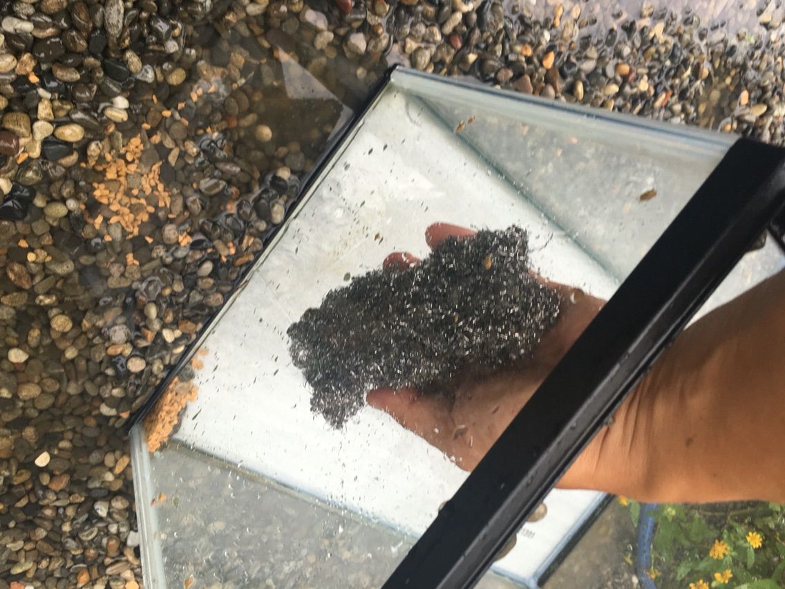 イモリとドジョウの水槽 レンガで新調レイアウト とりあえず やってみる Small Step Sky Park イモリとドジョウの水槽 レンガで新調レイアウト とりあえず やってみる Small Step Sky Park