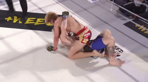 Ren Hiramoto - RIZIN LANDMARK vol.2_5