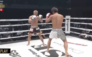 録画_2023_03_26_17_02_52_811