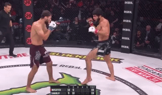 bellator