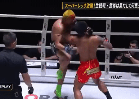 録画_2023_09_23_09_47_08_446