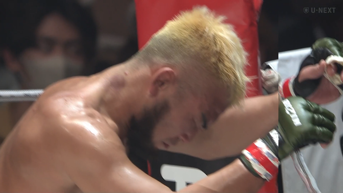 Screenshot 2024-12-31 at 19-36-47 再生 U-NEXT