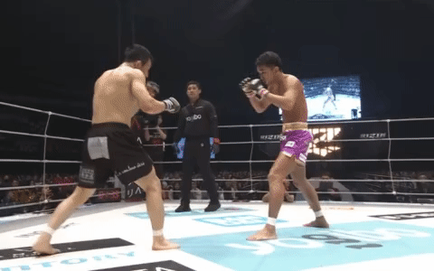 録画_2024_06_09_14_59_16_642_2