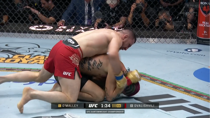 Screenshot 2024-09-15 at 15-17-44 再生 U-NEXT