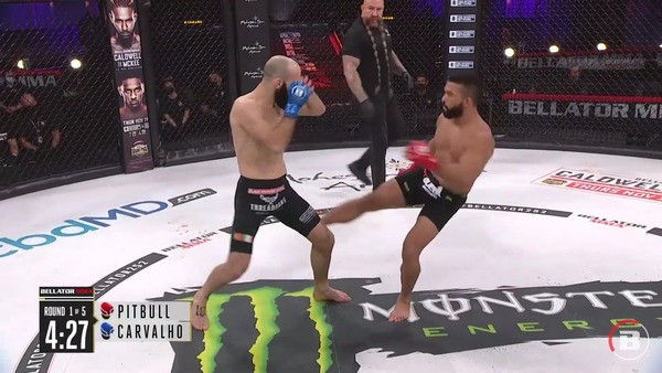 Screenshot_20201113-135137