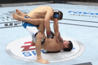 Kyoji Horiguchi Stops Jon Delos Reyes UFC Fight Night 52 Japan_2