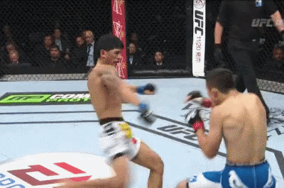 Kyoji Horiguchi Stops Jon Delos Reyes UFC Fight Night 52 Japan