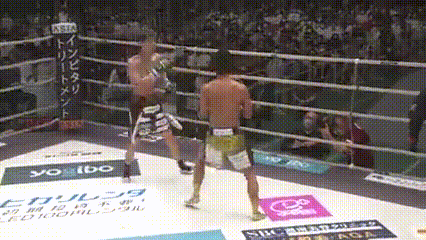 rizin2