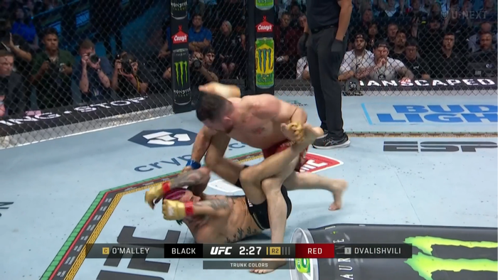 Screenshot 2024-09-15 at 15-15-34 再生 U-NEXT