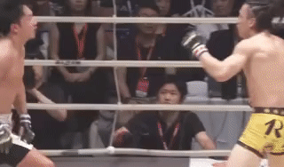 録画_2023_10_13_12_18_17_425_5