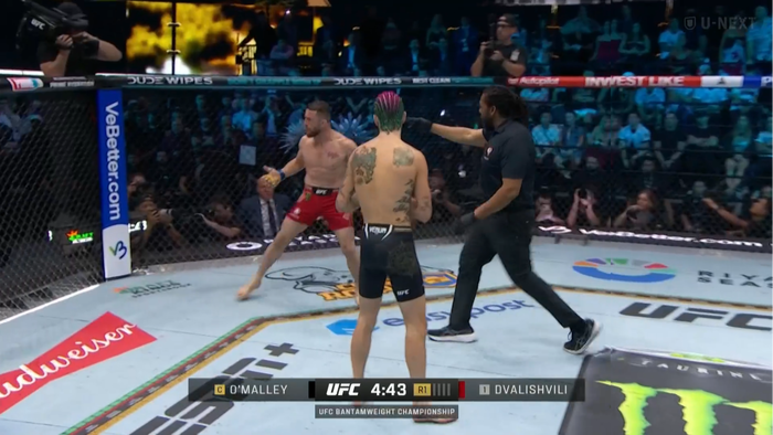 Screenshot 2024-09-15 at 15-09-37 再生 U-NEXT