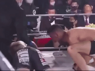 RIZIN LANDMARK