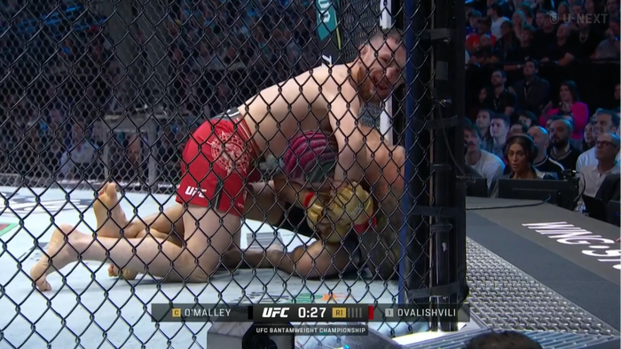 Screenshot 2024-09-15 at 15-14-14 再生 U-NEXT