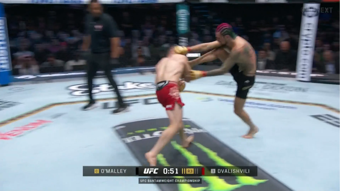 Screenshot 2024-09-15 at 14-49-43 再生 U-NEXT