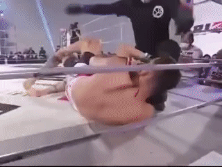 RIZIN LANDMARK_2