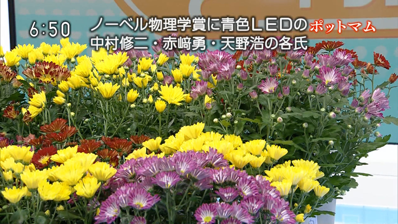 ω´)＜国家総動員報 : ＜ノーベル賞＞ノーベル物理学賞に中村修二、赤崎勇、天野浩 青色発光ダイオード 青色LED 青色ダイオード