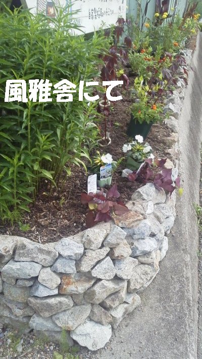 風雅舎でｄｉｙ木工作品のヒントを集める 木漏れ日のさすガーデン