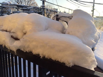 大雪001