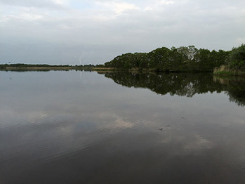 IMG_51390